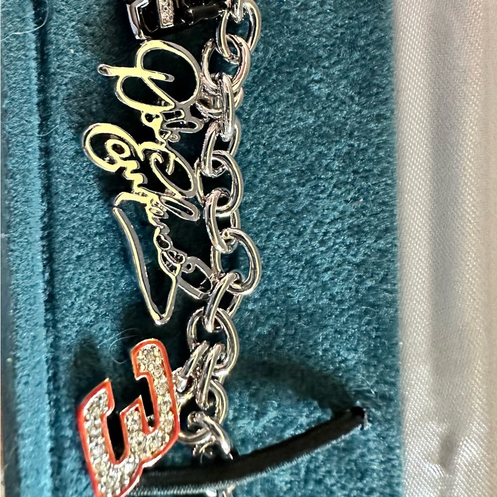 Bradford Exchange Dale Earnhardt charm bracelet